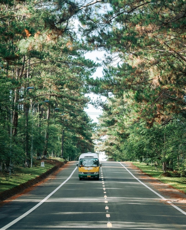 TOUR GHÉP 2 NGÀY 1 ĐÊM  ĐÀ NẴNG - MĂNG ĐEN – ĐÀ NẴNG