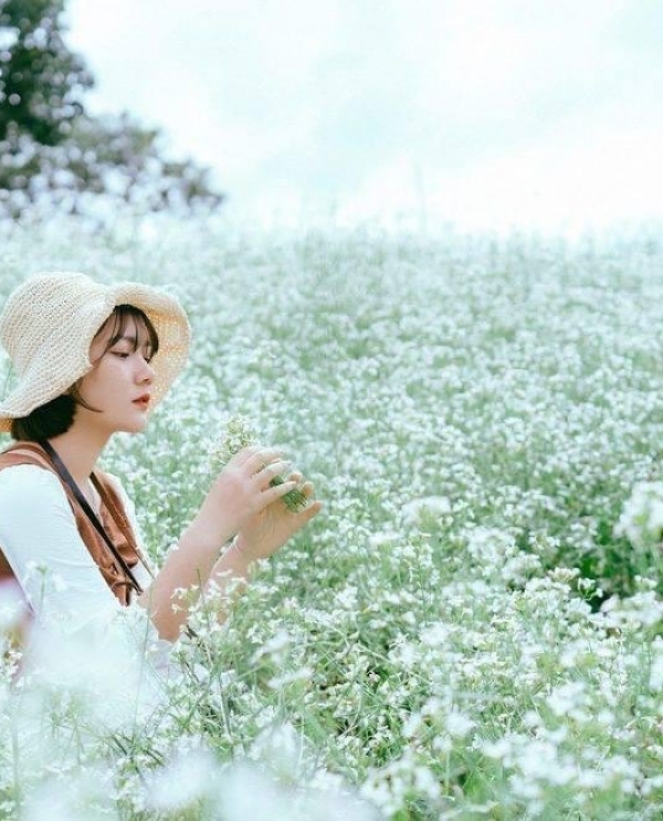 MỘC CHÂU MÙA HOA CẢI TRẮNG – TRẢI NGHIỆM DU LỊCH SINH THÁI BÌNH YÊN GIỮA TIẾT TRỜI SE LẠNH