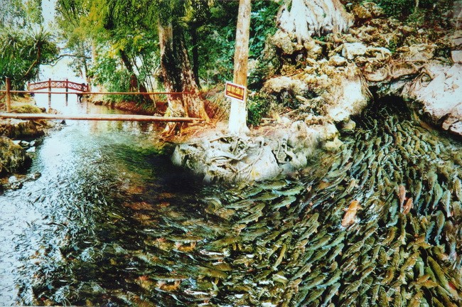 ĐÀ NẴNG  - VINH – SUỐI CÁ THẦN - ĐIỆN BIÊN - HÀ NỘI –  NƯỚC KHOÁNG KIM BÔI – VINH – ĐÀ NẴNG   