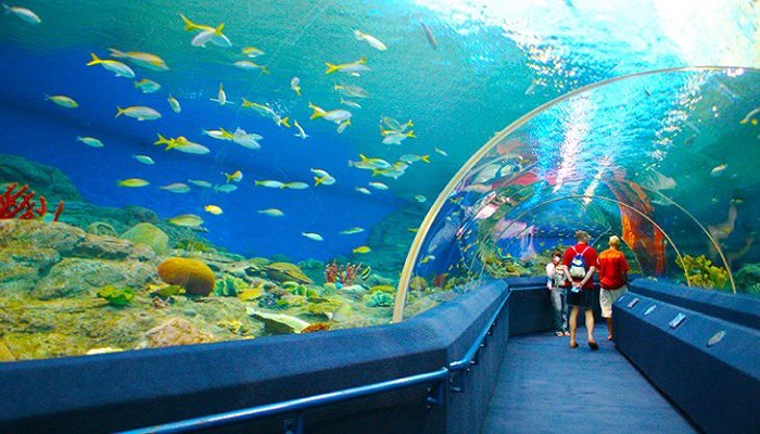 Đà Nẵng – Nha Trang – Đà Lạt – Đà Nẵng