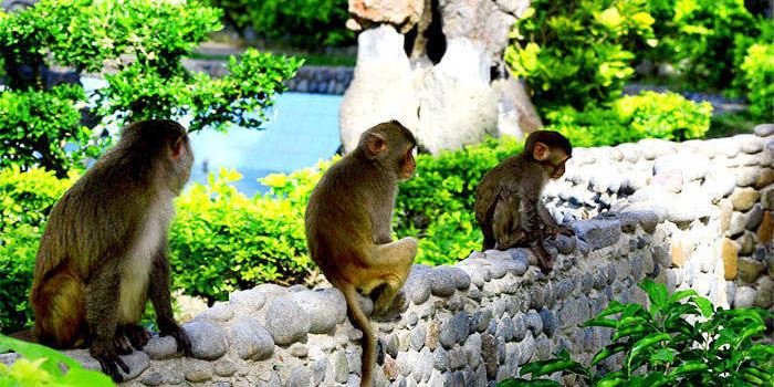 Đà Nẵng – Nha Trang – Đà Lạt – Đà Nẵng