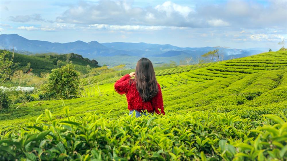 Đà Nẵng – Buôn Ma Thuột - Đà Lạt –  Nha Trang – Đà Nẵng