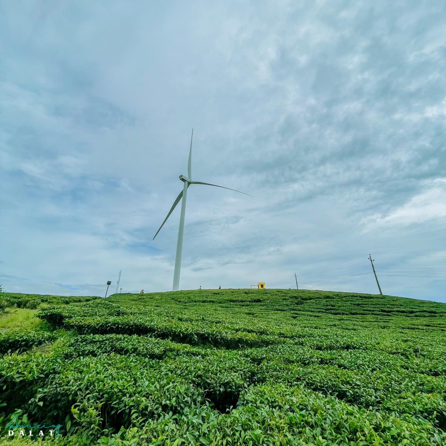 Đà Nẵng – Buôn Ma Thuột - Đà Lạt –  Nha Trang – Đà Nẵng