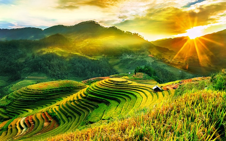 NỘI BÀI – NGHĨA LỘ - MÙ CANG CHẢI  – SAPA – LÀO CAI