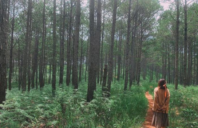 NỘI BÀI – NGHĨA LỘ - MÙ CANG CHẢI  – SAPA – LÀO CAI