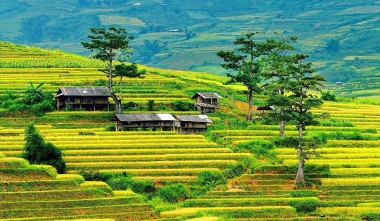 NỘI BÀI – NGHĨA LỘ - MÙ CANG CHẢI  – SAPA – LÀO CAI
