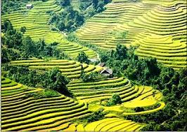 NỘI BÀI – MỘC CHÂU - MƯỜNG PHĂNG - ĐIỆN BIÊN – MÙ CANG CHẢI – NGHĨA LỘ