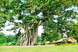 NỘI BÀI - HÀ GIANG -  ĐỒNG VĂN - HOÀNG SU PHÌ – XÍ MẦN – BẮC HÀ 