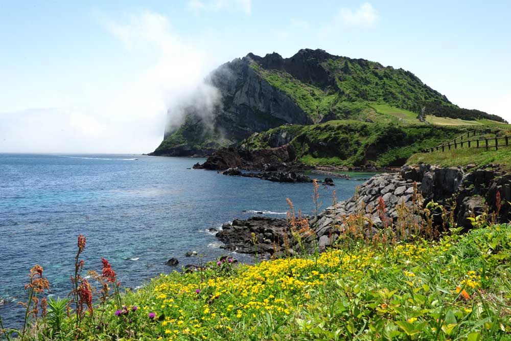 JEJU - KHÁM PHÁ HÀN QUỐC MÙA THU KHÔNG VISA