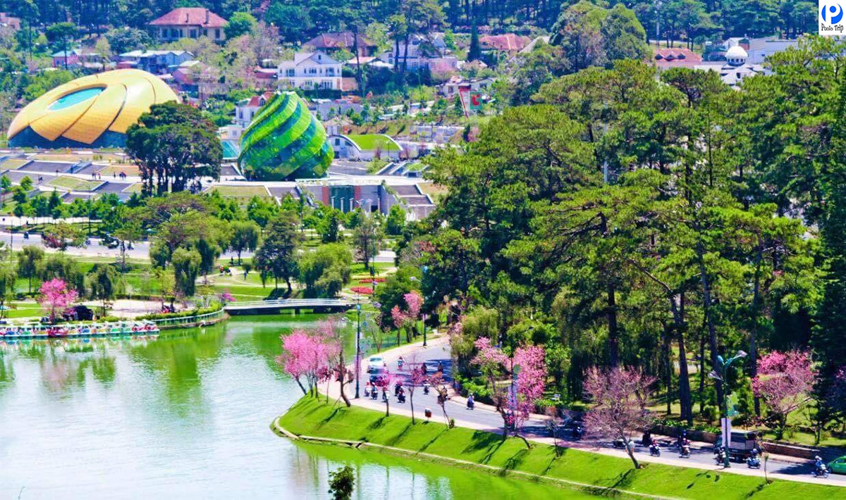 Đà Nẵng – Thành phố Đà Lạt – Đà Nẵng