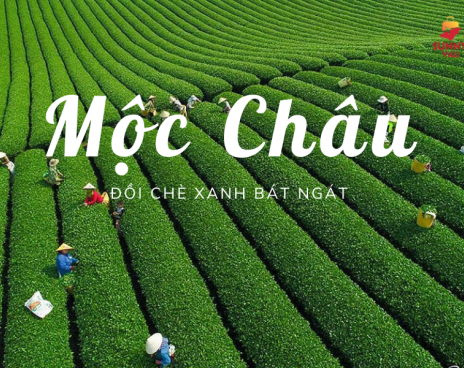 NỘI BÀI - MỘC CHÂU- MƯỜNG PHĂNG  - ĐIỆN BIÊN- SA PA 