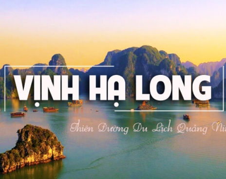 ĐÀ NẴNG - HẠ LONG - NINH BÌNH - HÀ NỘI