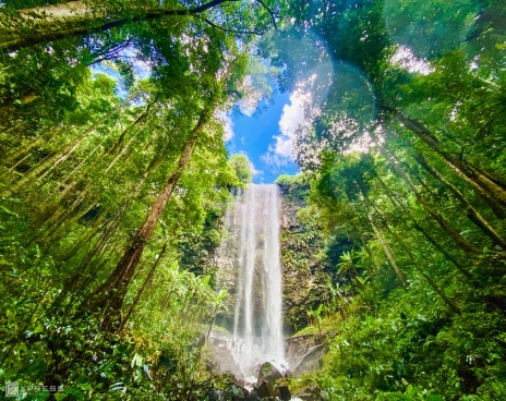 PLEIKU - KON TUM – MĂNG ĐEN- HOA DÃ QUỲ -  SÂN BAY