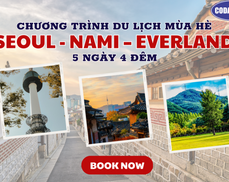 ĐÀ NẴNG - SEOUL - NAMI – EVERLAND