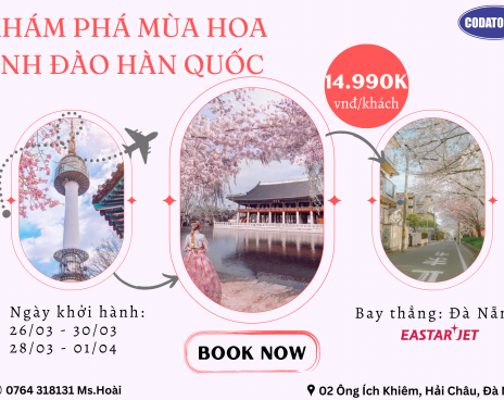 Khám Phá Mùa Hoa Anh Đào Hàn Quốc (ĐÀ NẴNG - SEOUL - NAMI – EVERLAND)