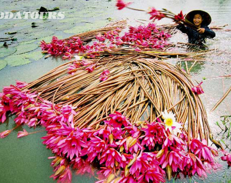 ĐN - BẾN TRE - CẦN THƠ - TP HCM - CỦ CHI - BÌNH DƯƠNG - ĐN