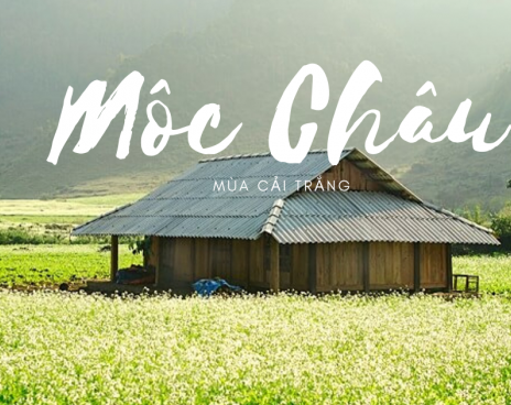 NỘI BÀI – SƠN LA – MƯỜNG PHĂNG  - ĐIỆN BIÊN – MỘC CHÂU