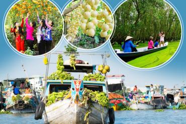 ĐÀ NẴNG – NHA TRANG – BÌNH DƯƠNG – CẦN THƠ – CHÂU ĐỐC – BẾN TRE – TP HỒ CHÍ MINH – ĐÀ NẴNG